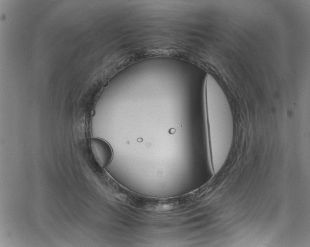 X0000065980647200603030931