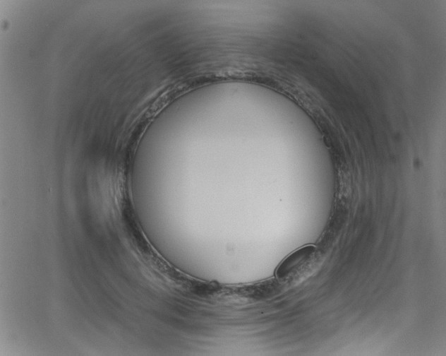 X0000065980648200603030931