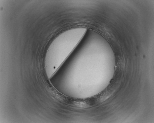 X0000065980649200603030931