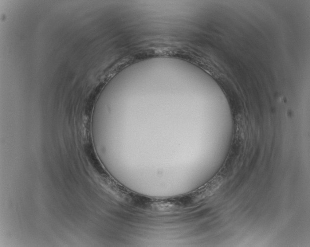 X0000065980650200603030931