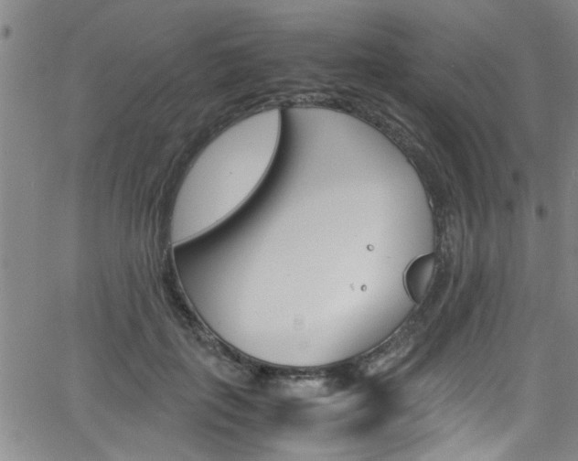 X0000065980651200603030931