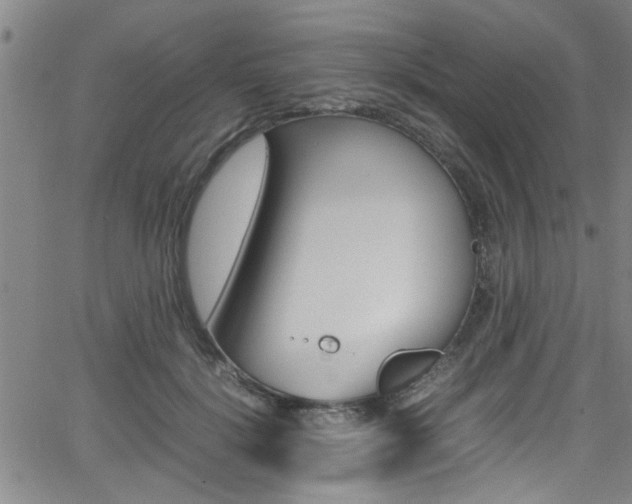 X0000065980652200603030931