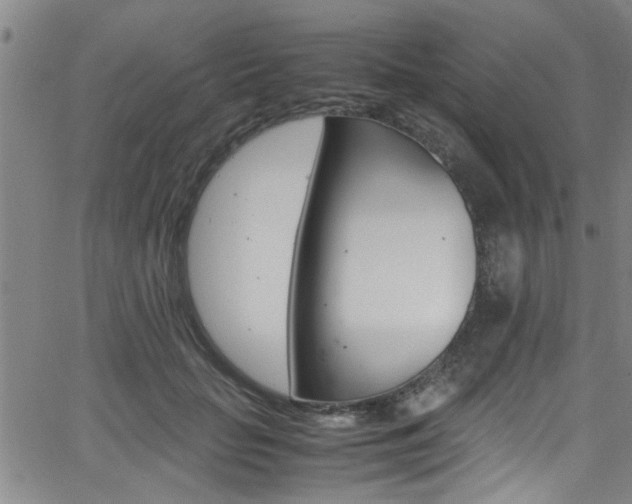 X0000065980653200603030931