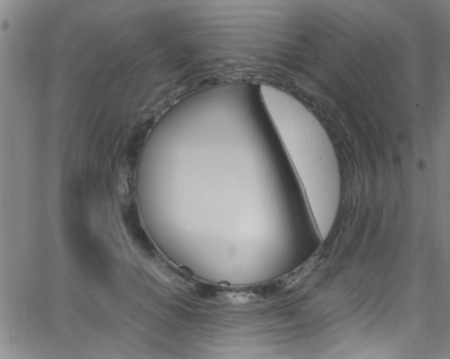 X0000065980654200603030931