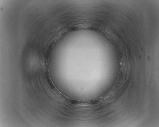 X0000065980655200603030931