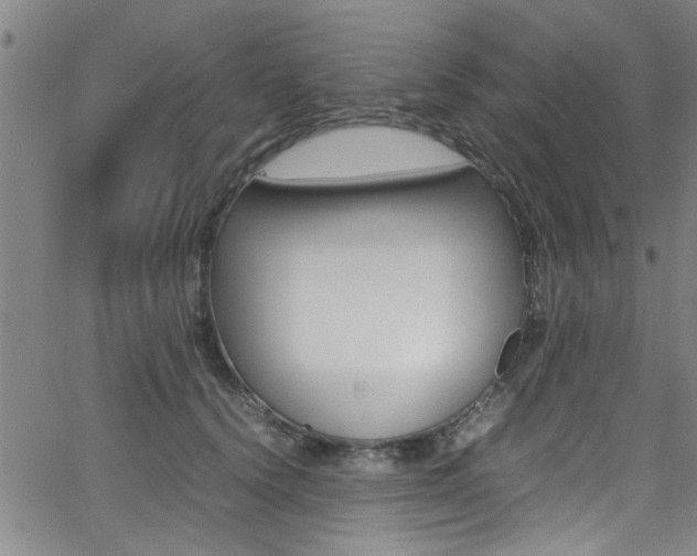 X0000065980656200603030931