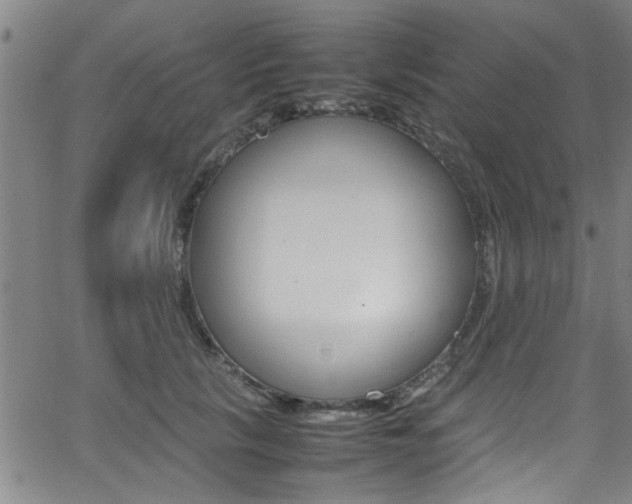 X0000065980657200603030931