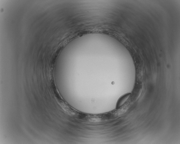 X0000065980658200603030931