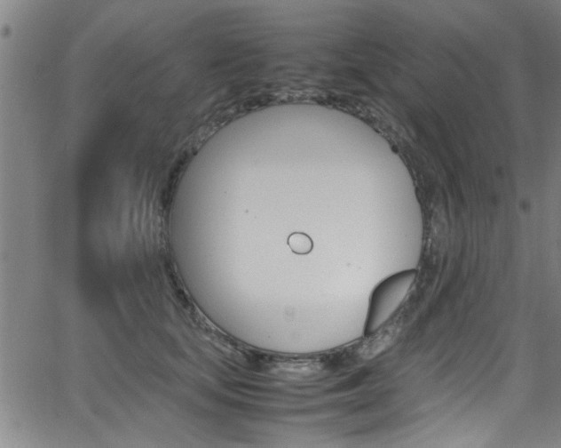 X0000065980659200603030931