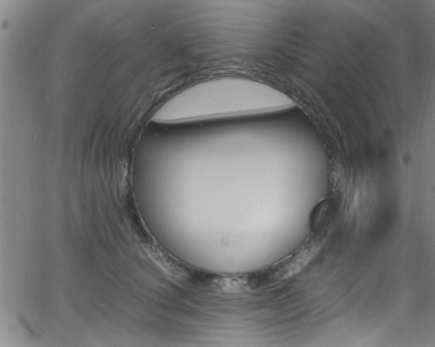 X0000065980660200603030931