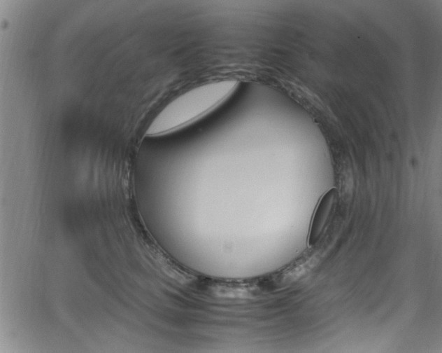 X0000065980661200603030931