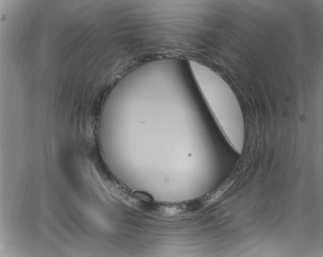 X0000065980662200603030931