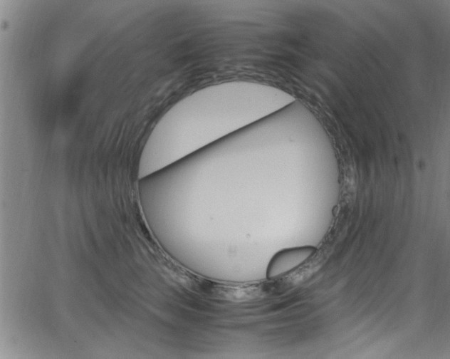 X0000065980663200603030931