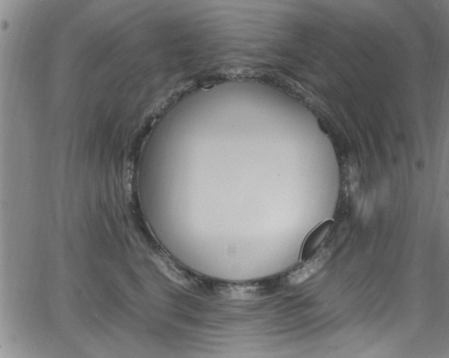 X0000065980664200603030931