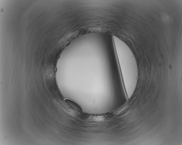 X0000065980665200603030931