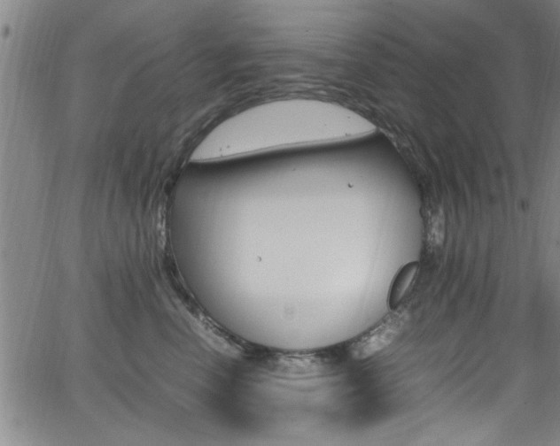 X0000065980666200603030931