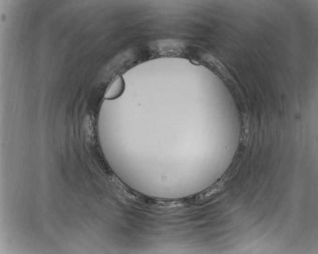 X0000065980667200603030931