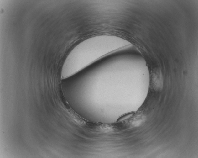 X0000065980668200603030931