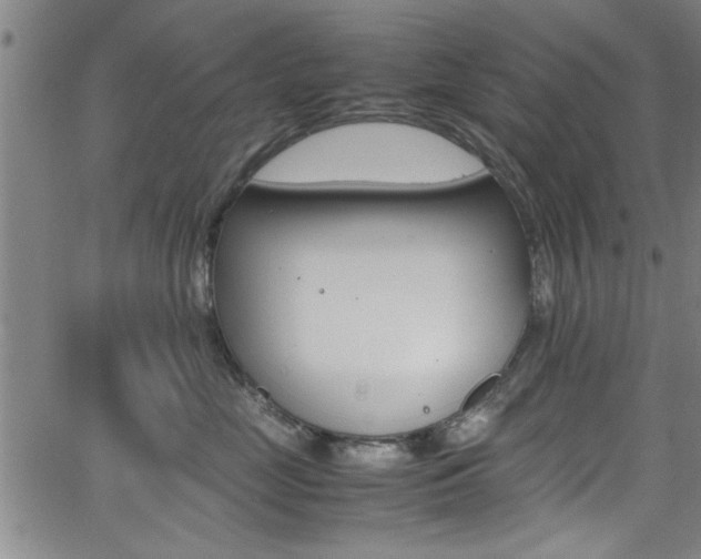 X0000065980669200603030931