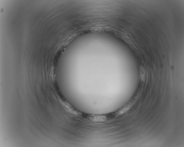 X0000065980670200603030931