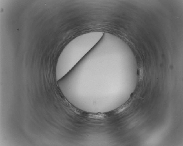 X0000065980671200603030931