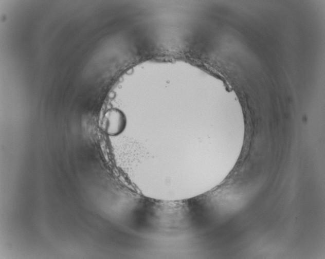 X0000065980672200603030931