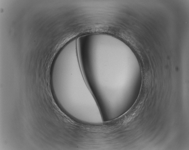 X0000065980673200603030931