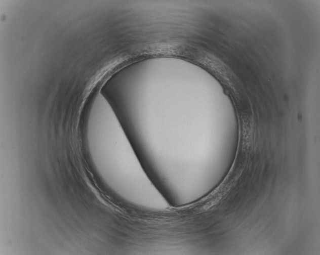 X0000065980674200603030931