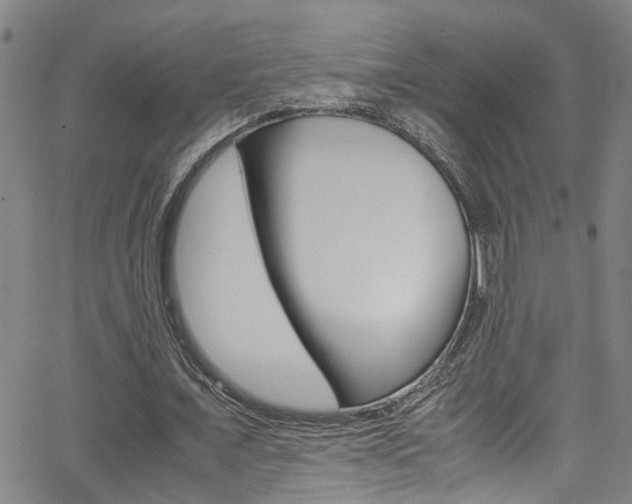 X0000065980675200603030931