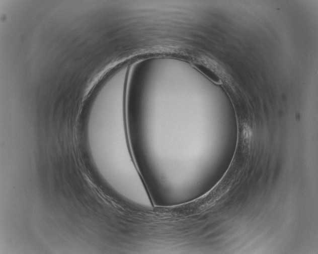 X0000065980676200603030931