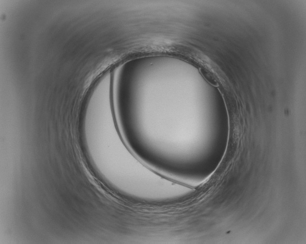 X0000065980677200603030931