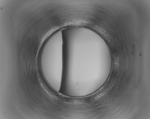 X0000065980678200603030931