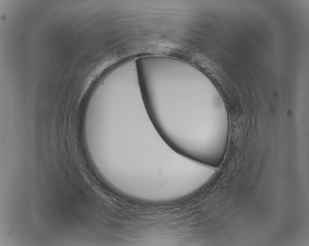 X0000065980679200603030930