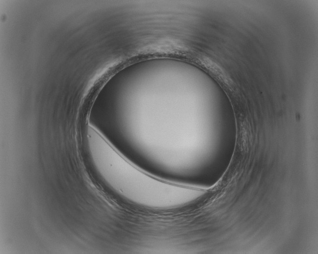 X0000065980680200603030930