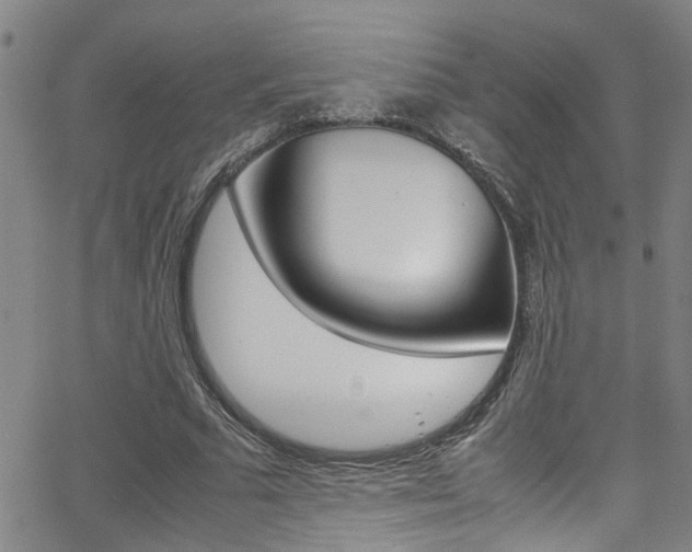 X0000065980681200603030930