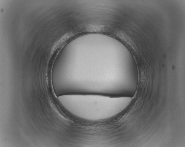 X0000065980682200603030930