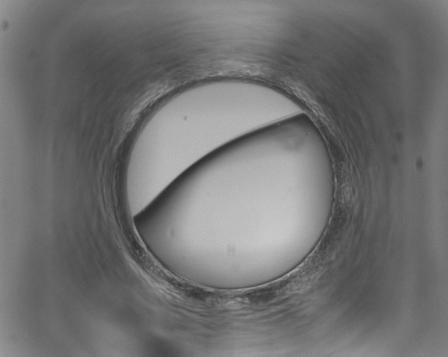 X0000065980683200603030930