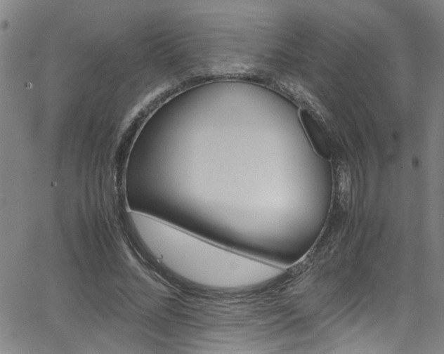 X0000065980684200603030930