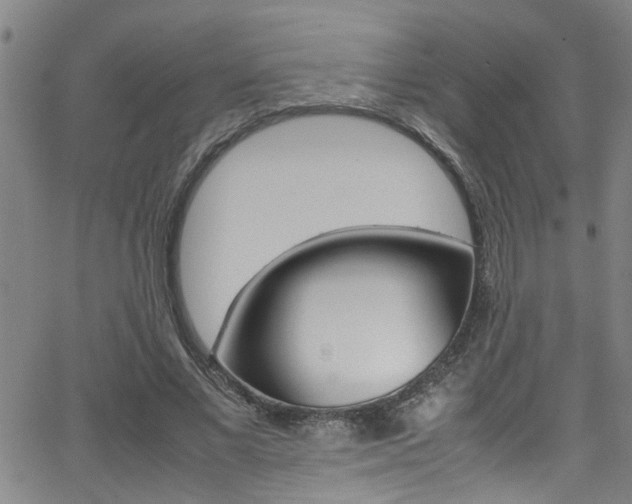 X0000065980685200603030930