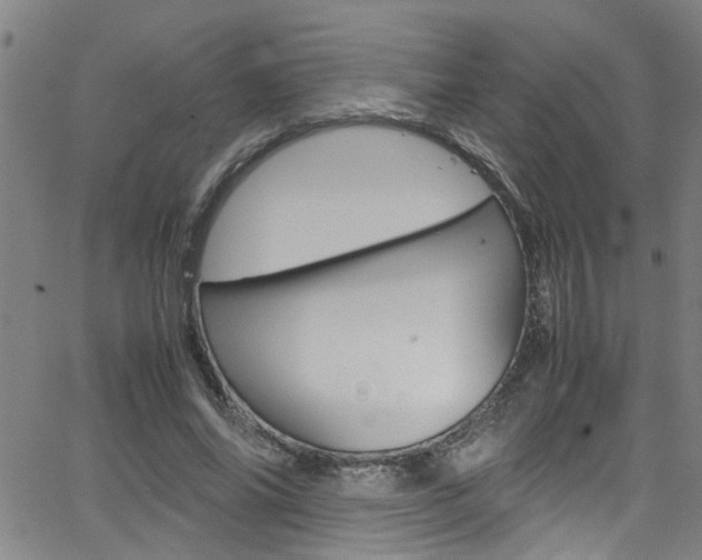 X0000065980686200603030930