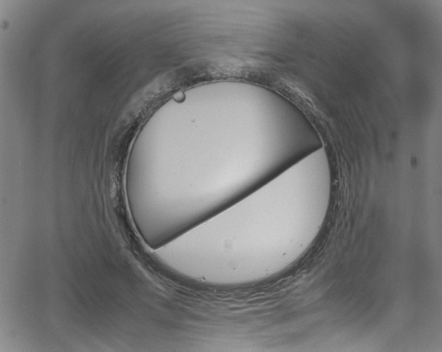 X0000065980687200603030930