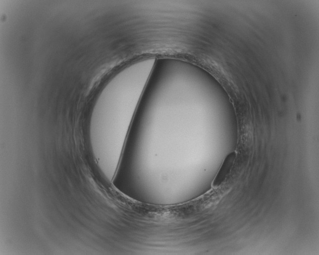 X0000065980688200603030930