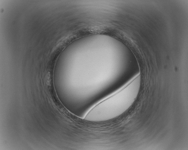 X0000065980689200603030930