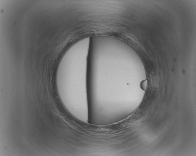 X0000065980691200603030930