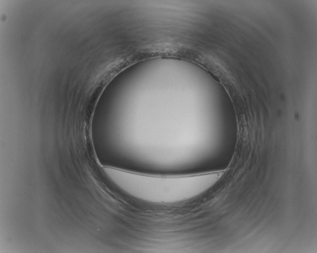 X0000065980692200603030930