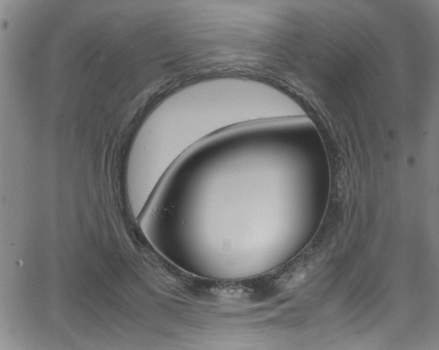 X0000065980693200603030930