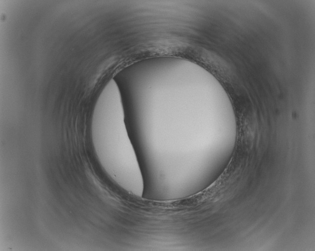 X0000065980694200603030930