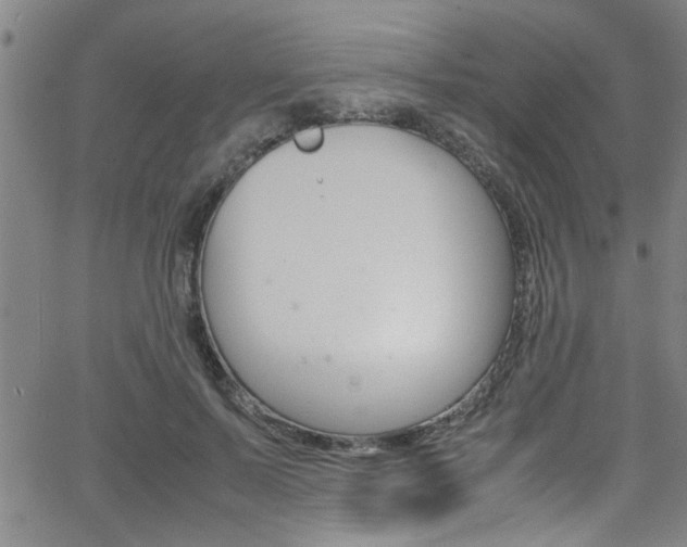 X0000065980695200603030930