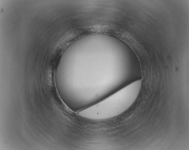 X0000065980696200603030930