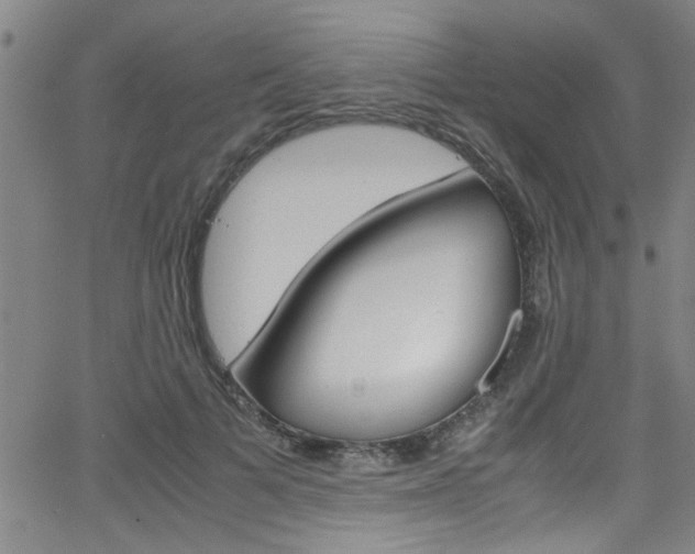 X0000065980697200603030930